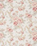 Damask Rose (1)