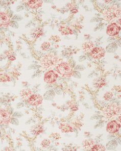 Damask Rose