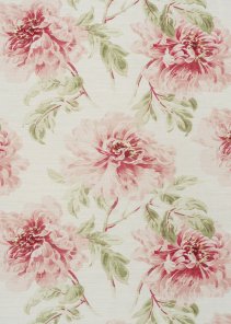 Great Dahlia