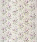 Lilac (2)