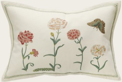 CARNATIONS & BUTTERFLY - C423A