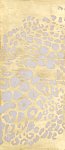 Custom Designs (24)