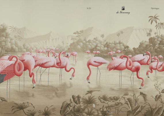 Flamingoes (2)