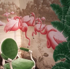 Flamingoes