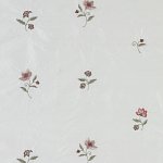 Hellebore (2)