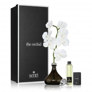 Bergamot & Ginger - The Orchid 