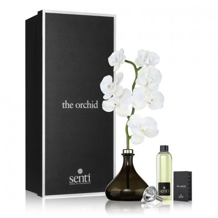 Bergamot & Ginger - The Orchid  (1)