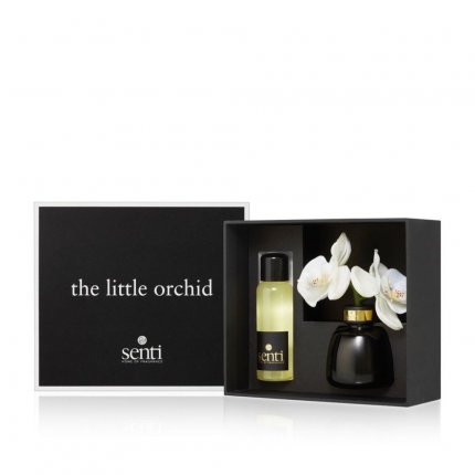 Bergamot & Ginger - The Little Orchid (1)