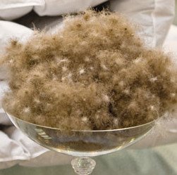 Exkluzivní kajčí peří - La Batista Eiderdown - kajčí peří (v luxusním bavlněném sypku)