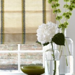 Jammu Stripe